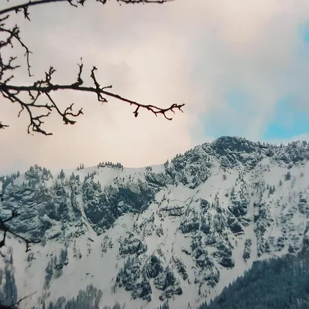 Harmony Дом отдыха *