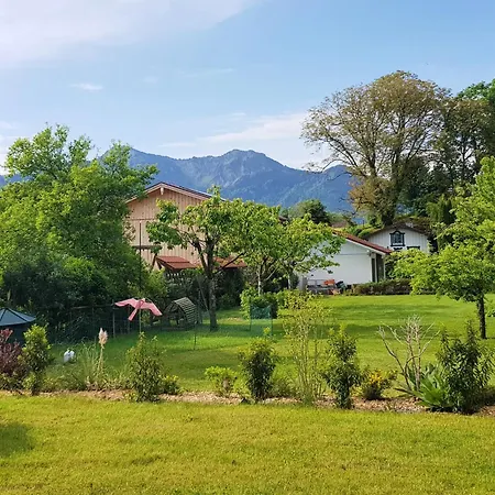 Nyaraló Harmony Übersee